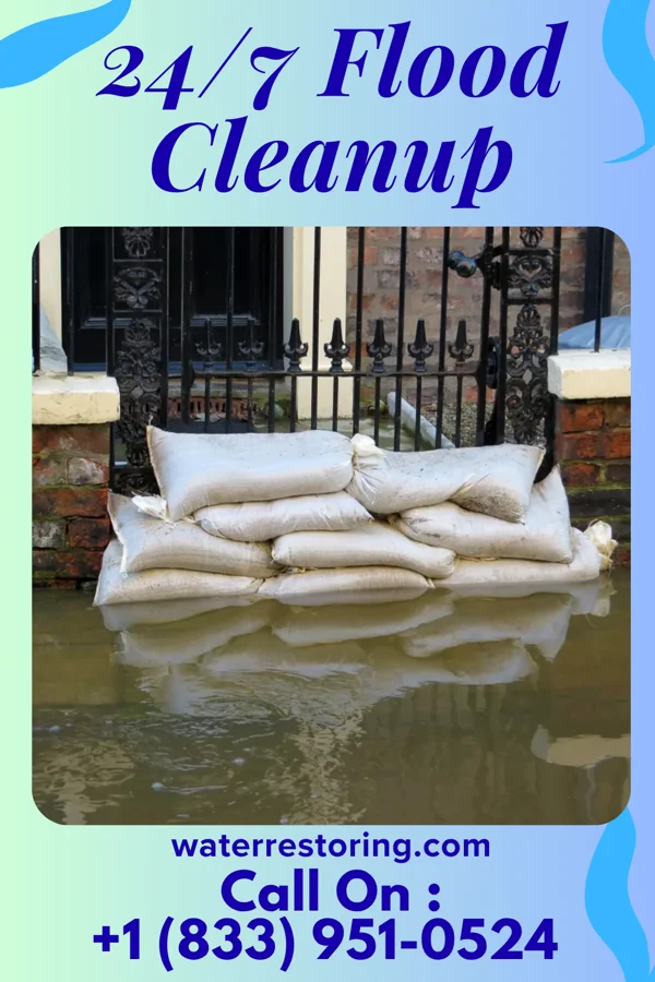 24/7 Flood Cleanup in Mount Oliver, PA