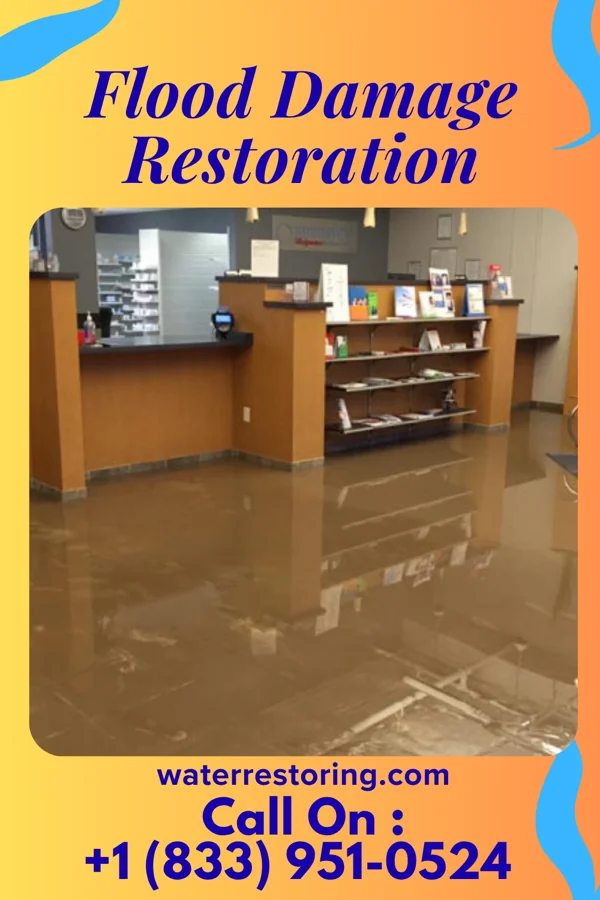 Flood Damage Restoration in Mount Oliver, PA