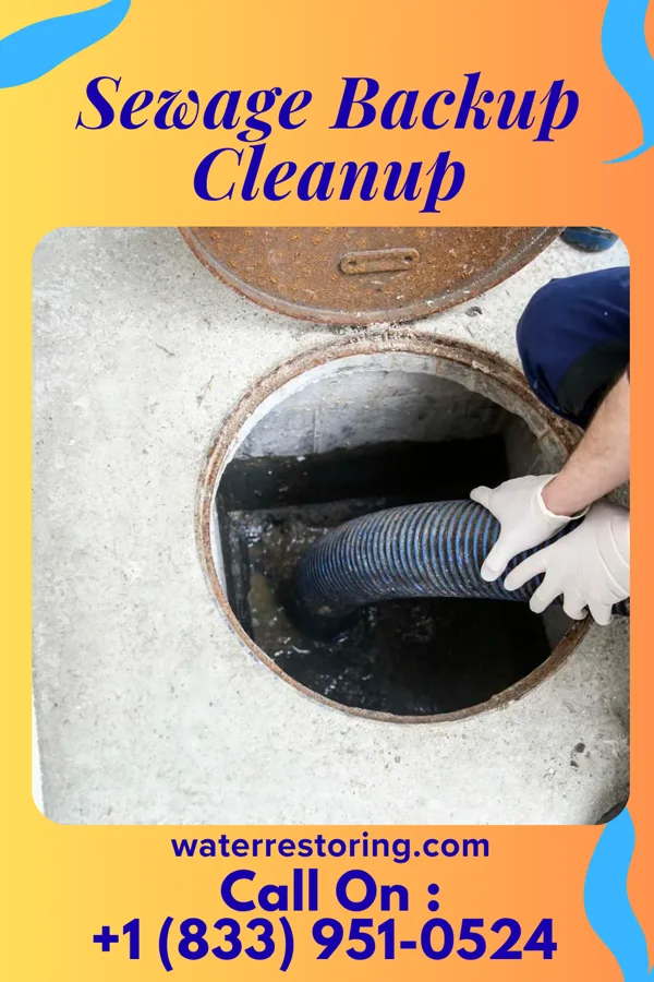 Sewage Backup Cleanup in Mount Oliver, PA