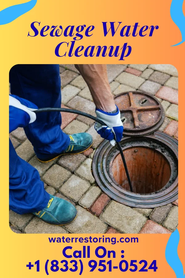 Sewage Water Cleanup in Mount Oliver, PA